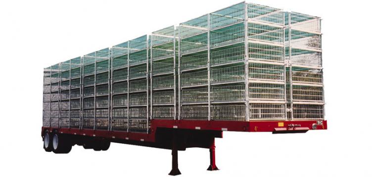 Poultry Platform Drop