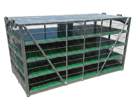 Roaster Cage 2026 002 Complete