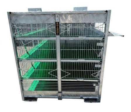 Roaster Cage 2026 004 Complete